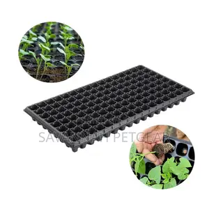 Vegetables Nursery Seed Transplanting Tray - 128 Holes