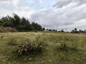 One Acre Piece of Land in Ngong, Kibiku. Good Red Soil