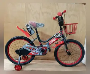 20-Inch Luta Kids’ Bicycle