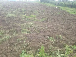 5 Acres on Sale