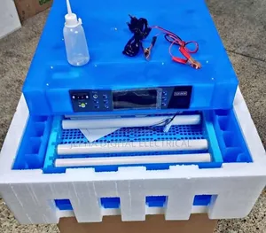 64eggs Incubator