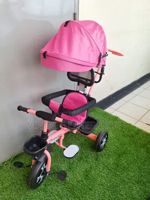 Tricycle With Canopy