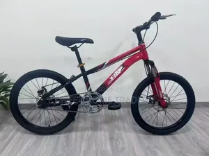 BMX Bike Size 24