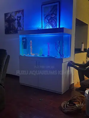 Aquarium With Led Lights, Plants Fish Food