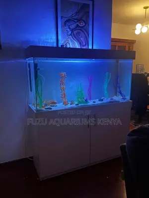 4ft Display Aquarium – Complete With Stand
