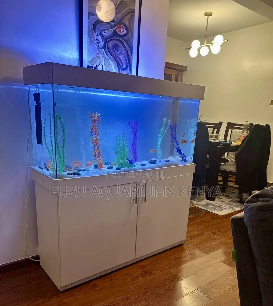 Display-Ready 4ft Aquarium With Full Setup