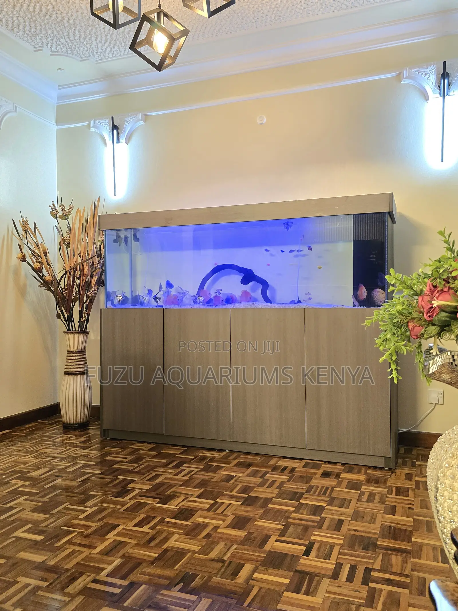 Large Cabinet Aquarium – Eye-Catching Display