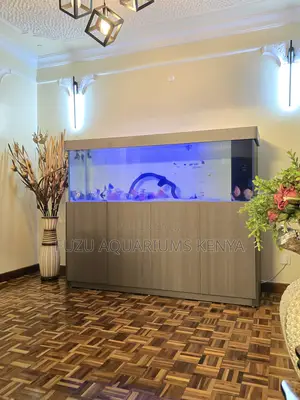 Large Cabinet Aquarium – Eye-Catching Display