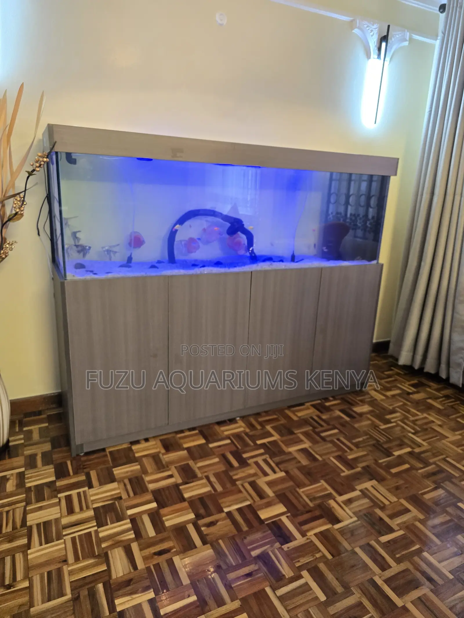 Display-Size Aquarium With Elegant Cabinet
