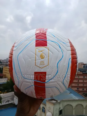 Nike Flight Official Match Ball of Premier League 2024/25