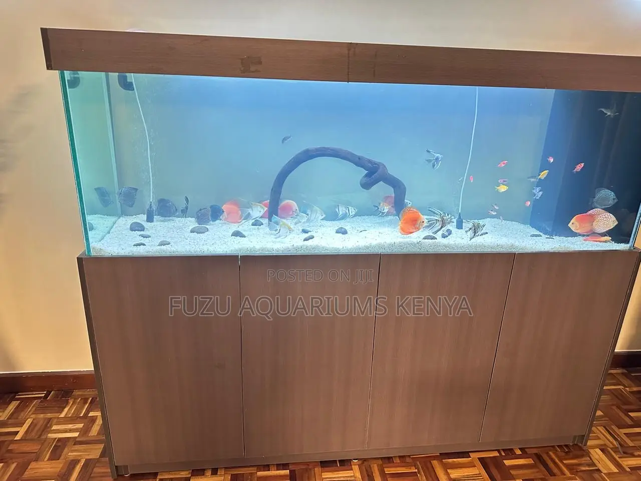 Aquarium With Storage Cabinet – High Volume