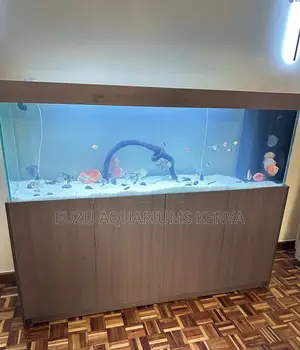 Decor-Enhancing Aquarium With Full Cabinet