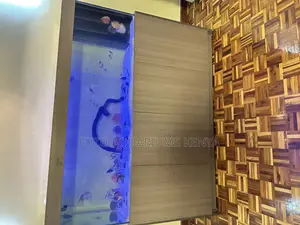 Aquarium for Home or Office – With Cabinet