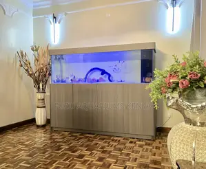 Clean Setup Aquarium With Spacious Cabinet