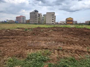 9.4 Acres Thika