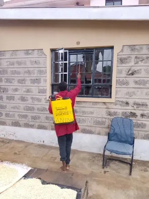Full House Fumigation Sofaset Cleaning