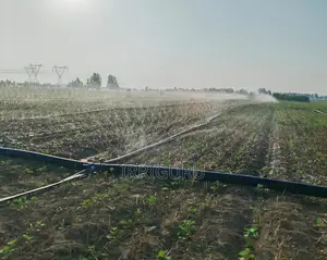 Rain Belt for Irrigating Beans