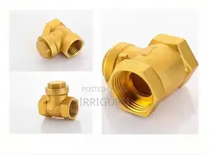 Threaded Non-Return Valve