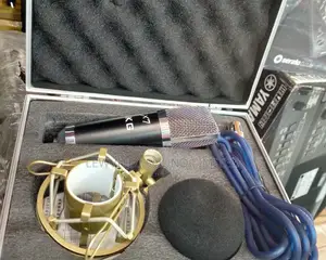 AKG Studio Recording Microphone.
