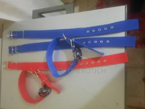 Leather Dog Collar