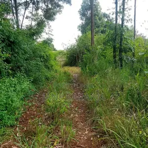 Blocks of 32,220 and 361 Acres Makuyu Muranga County 3.5 M at 
