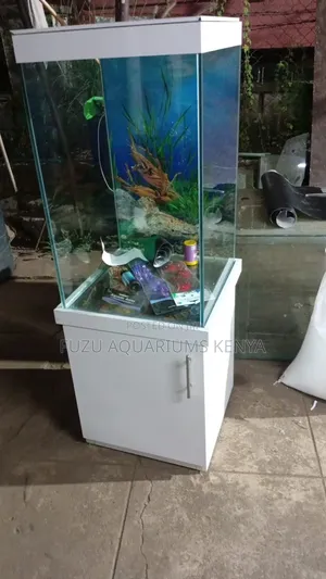 Excellent Tall Aquarium