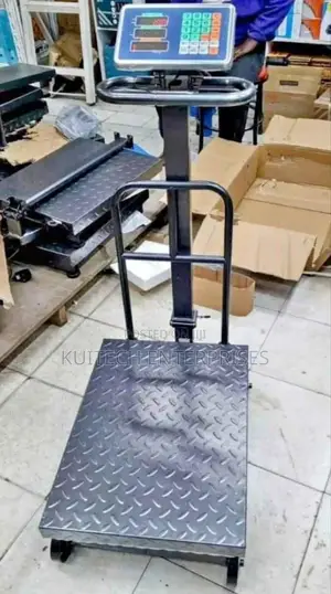 600kg Platform Scale/Digital Weight Scale 600kg Machine