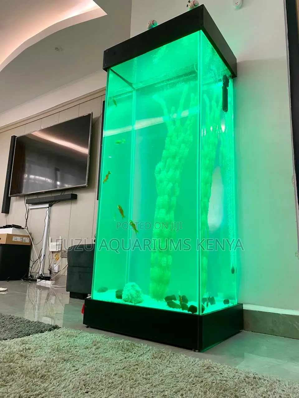 Premium 5ft Aquarium – Mood Lighting Included