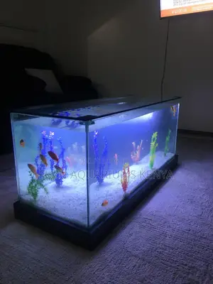 Living Room Aquarium Coffee Table – Wow Guests Instantly