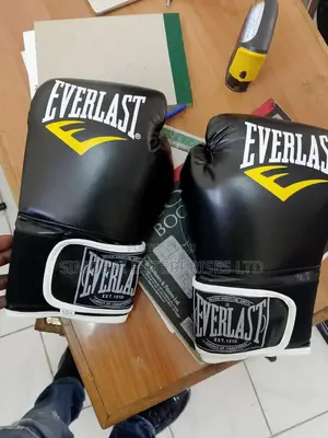Everlast Boxing  Gloves
