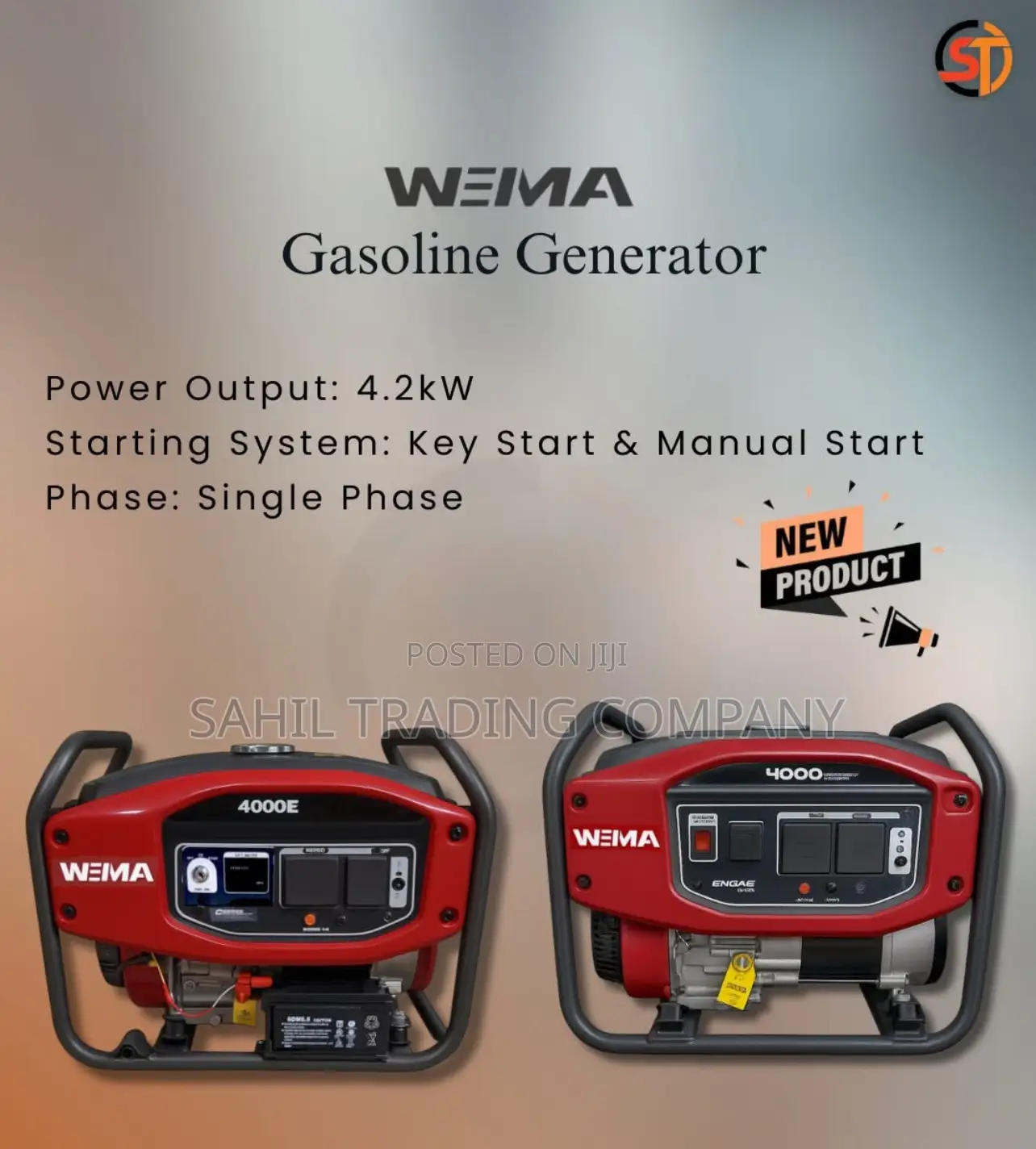 Wema 4.2kva Gasoline Generator