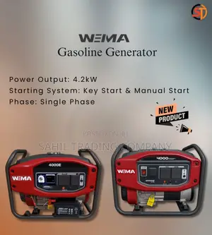Wema 4.2kva Gasoline Generator