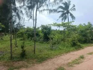 Prime 4-Acre Plot in Kwa Chokwe – 7 Minutes From Kilifi Town