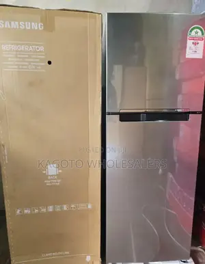 Samsung 300litres Fridge Double Door No Frost