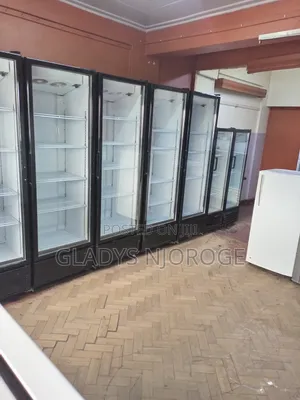 Commercial Chiller Showcase Display Fridge
