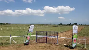 Affordable Plots With Lake Naivasha View,Going For Ksh 700k