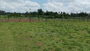 Plots 50 by 100 Plots at Kasuku(Olives Gardens Estate), Nyahururu