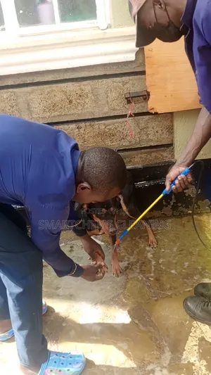 Dogs Fleas Control Services