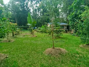 1 Acre With 2bdr Bungalow Plus DSQ Karen Windridge for Sale
