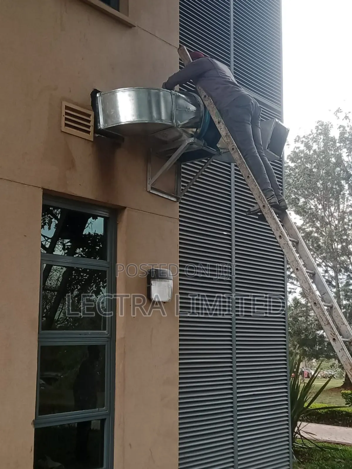 Kitchen Wood Extraction Systems