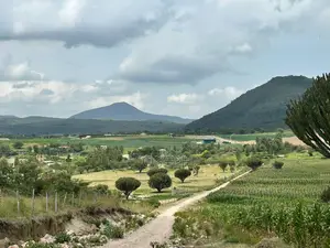 Naivasha Moi Ndabi Sero 22.9acres,Eletric Fenced