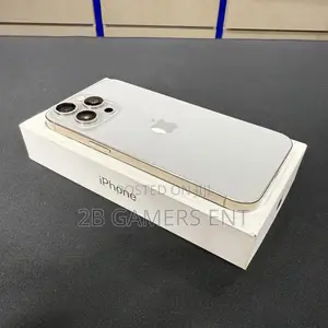 Apple iPhone 15 Pro Max 256 GB Gray