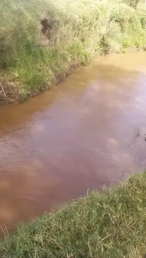 1000 Acres With Spring Water in Kiboko Makindu Is for Lease