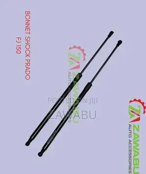 Bonnet Shock Fj 150 2010-