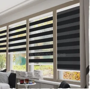 Minimalist White-on-white Zebra Blind