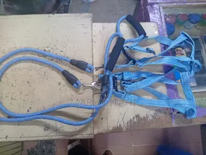 Heavy Duty Dog Leash