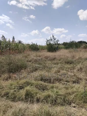 Muthara 2 1/4 Acres.