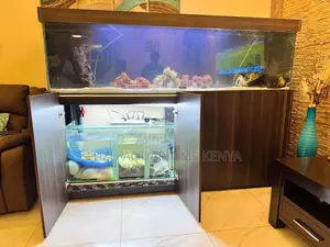 All-in-One Aquariums With Built-in Cabinet Filter Systems