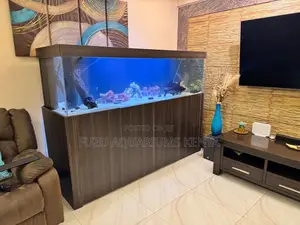 Professional-Grade Aquariums With Sump / Canister Filtration