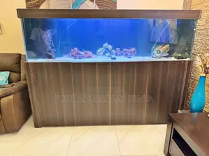 Aquariums That Hide the Mess – Filter Below, Show Above